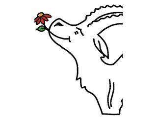 Chalet Neukirchen am Großvenediger Dokument 25