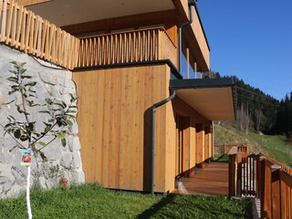 Garden with Trees left and right on bett room level
