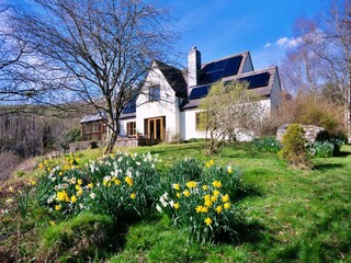 Maison de vacances Welt  11