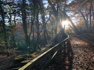 Appartement Brecon Environnement 20