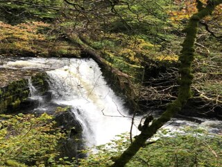 Apartment Brecon Environment 27