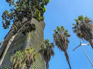 Apartment Las Palmas Outdoor Recording 7
