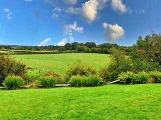 Holiday house Welt Outdoor Recording 8