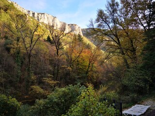 Blick auf das Ferienhaus in natürlicher Umgebung