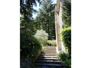 Blick auf das Ferienhaus in natürlicher Umgebung