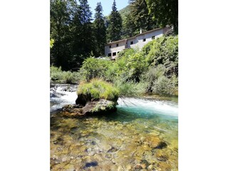 Blick auf das Ferienhaus in natürlicher Umgebung