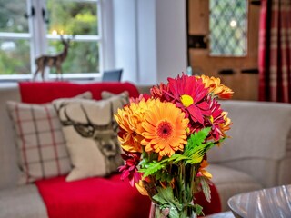 Vakantiehuisje Minehead Kenmerken 9