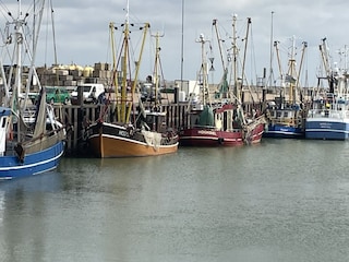 Ferienwohnung Hooksiel Umgebung 17