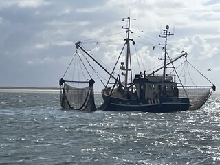 Ferienwohnung Hooksiel Umgebung 18