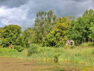 Vakantiehuisje Morpeth Buitenaudio-opname 7