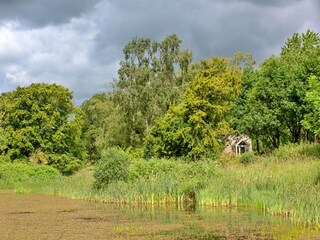 Cottage Morpeth Außenaufnahme 3
