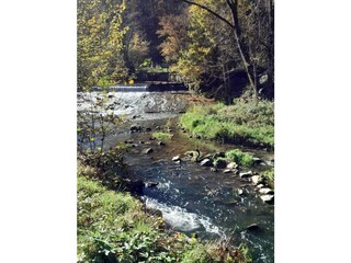 Starzeltal in Bieringen