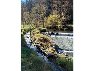 Starzeltal in Bieringen