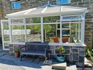 Ferienhaus Hütte in Dolwyddelan nahe Snowdonia - Llanrwst - image1