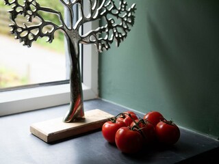 Holiday cottage Llanrwst  29