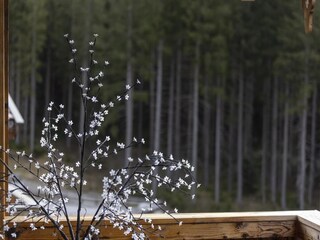Parque de vacaciones Neukirchen am Großvenediger Grabación al aire libre 1