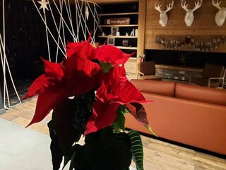 Appartement Séez  14