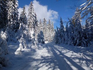 verschneite Winterlandschft