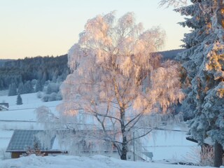 Winterlandschaft