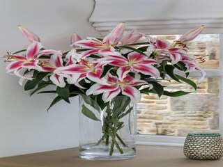 Holiday cottage Welt Features 24