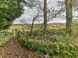 Cottage Welt Außenaufnahme 2