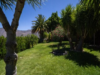 Appartement Tejeda  64