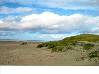 Dünen am Strand