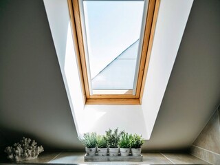 Vakantiehuis Newquay Buitenaudio-opname 3