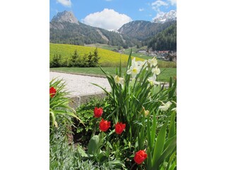 Appartamento per vacanze Wolkenstein in Gröden Registrazione all'aperto 10