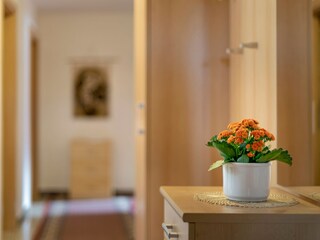 Appartamento per vacanze Wolkenstein in Gröden Caratteristiche 36