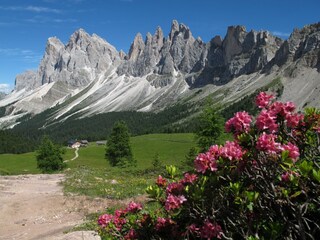Appartamento per vacanze Wolkenstein in Gröden Ambiente 40