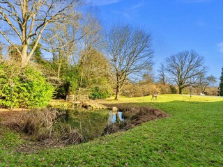 Vakantiehuisje Crowborough Buitenaudio-opname 4