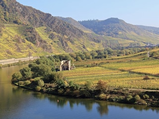 Holiday apartment Bernkastel-Kues Environment 22