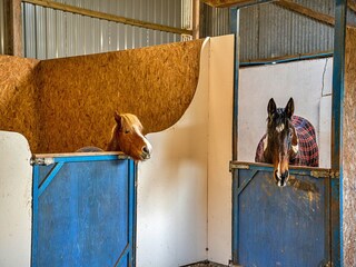 Type de propriété : Ferme Holsworthy  30