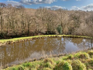 Type de propriété : Ferme Holsworthy Environnement 28