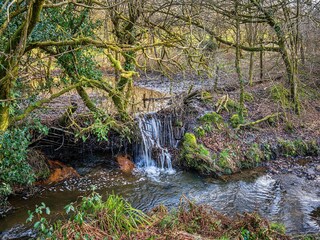 Type de propriété : Ferme Holsworthy Environnement 25