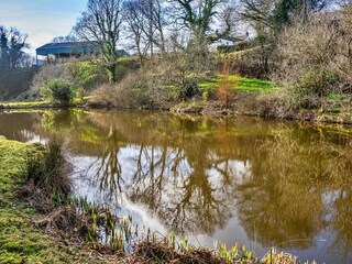 Farmhouse Holsworthy Outdoor Recording 5