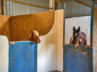Bauernhof Holsworthy  30