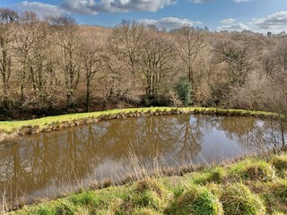 Farmhouse Holsworthy Environment 26