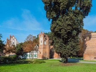 Ferienhaus Neubrandenburg  18