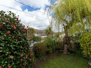 Vakantiehuis St. Austell Buitenaudio-opname 10