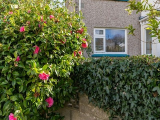 Ferienhaus St. Austell Außenaufnahme 4