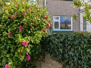 Vakantiehuis St. Austell Buitenaudio-opname 9