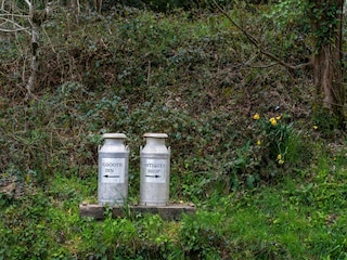 Vakantiehuis St. Austell Buitenaudio-opname 14