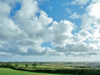 Vakantiehuis St. Austell Buitenaudio-opname 3