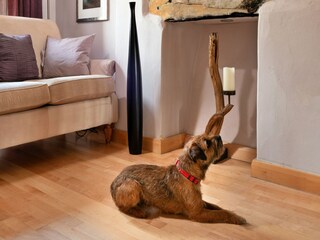 Cottage Porthmadog  27