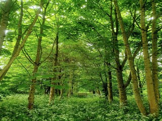 Vakantiehuisje Welt Buitenaudio-opname 2