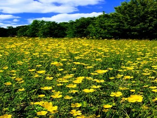Casa de vacaciones Welt Grabación al aire libre 5