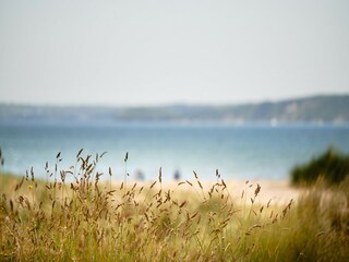 Vakantiehuisje Fowey Buitenaudio-opname 7