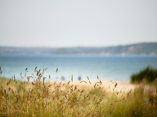 Vakantiehuisje Fowey Buitenaudio-opname 11